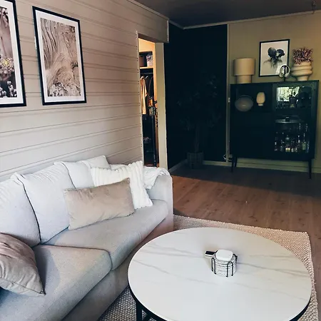 Koselig Og Sjarmerende Leilighet Sentralt I Trd Lejlighed