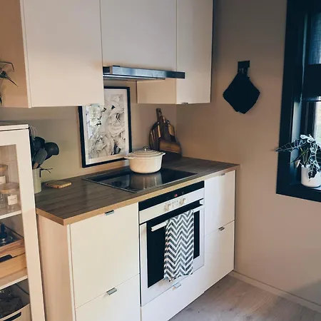 Koselig Og Sjarmerende Leilighet Sentralt I Trd 아파트 *